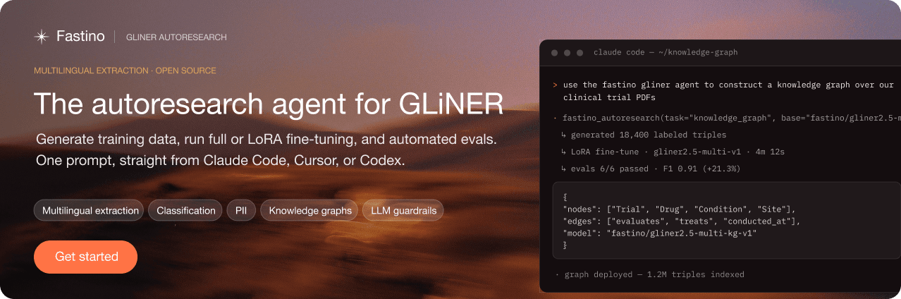 GLiNER 2.5 Multi