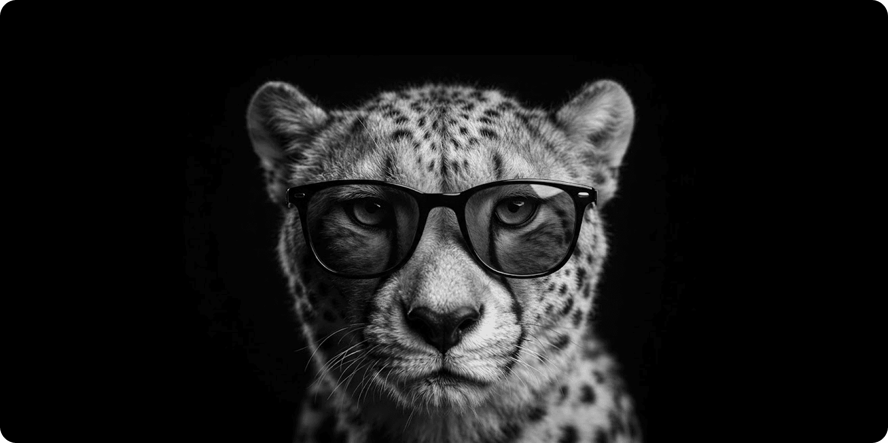 Gepard 1.0