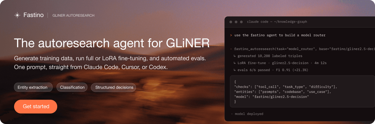 GLiNER2.5-Decide